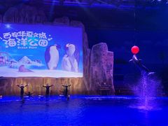 -华夏文旅海洋公园