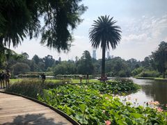 -墨尔本皇家植物园