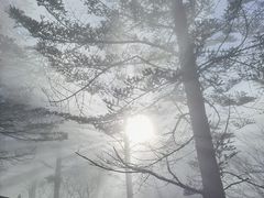 -峨眉山风景名胜区