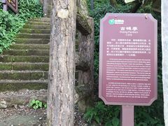 -綦江古剑山