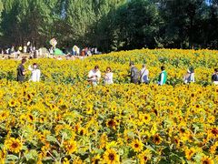 -长白岛森林公园