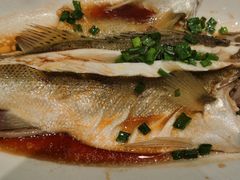 -舌尖上·霞浦滩涂海鲜·新闽菜(总店)