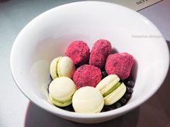 -蝶舍·MAISON PAPILLON