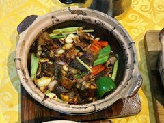 -天宝食坊·啫啫煲大排档(西华路店)