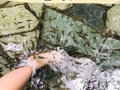 -湖泉半山温泉