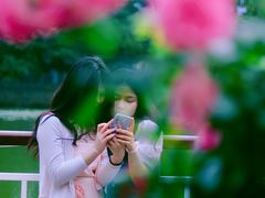 -人民公园(罗湖区)