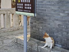 -云龙山