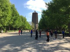 -玲珑塔公园