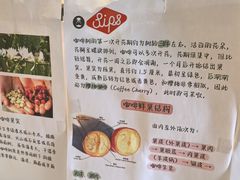 -Sips&Lick茶兰咖啡(五道口店)