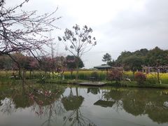 -洪湖家庭农场·团建·露营·会议