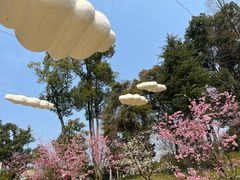 -南山植物园