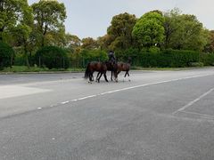 -平湖九龙山旅游度假区