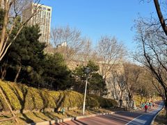 -滨河世纪广场公园