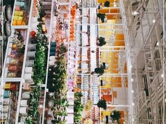 -KKV(上海月星环球港店)