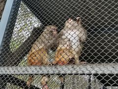 -长白岛森林公园