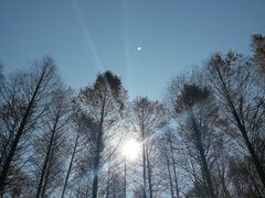 -山王坪喀斯特国家生态公园