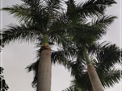 -广州市白云山风景名胜区
