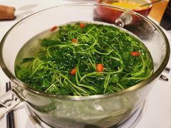 -云境生态园(高新旗舰店)