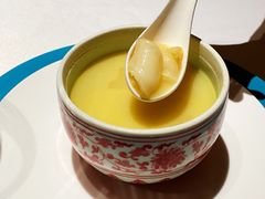酸萝卜炖土猪肚花胶汤-湘上湘(正大中心总店)