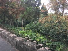 -上海市保健医疗中心(华东疗养院)
