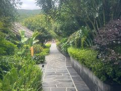 -腾冲洞山温泉村