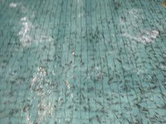 -天源吉布世温泉水乐园