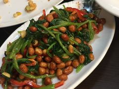 -老马家拉面(碧水花园东南)