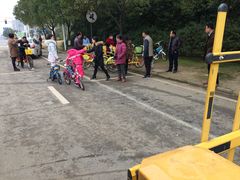 -艾溪湖湿地公园