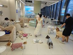 -怪兽屋·羊驼·猫咖·狗咖(俊华广场店)