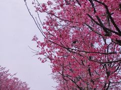 -凤凰沟景区