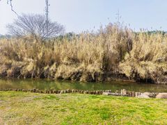 -幕燕滨江·长江观音景区