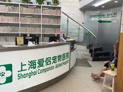 -爱侣宠医·鹦鹉专科·小型哺乳类·异宠专科(灵石路店)