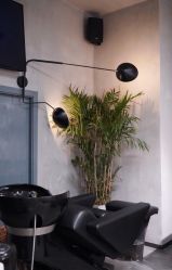 -SEBASTIAN塞巴斯汀