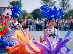 -荷兰花海