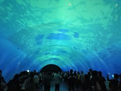 -大连圣亚海洋世界