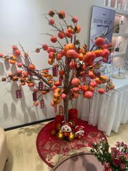 -skin79皮肤管理中心