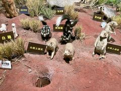 -陕西自然博物馆