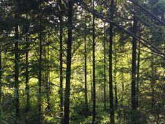 景点-贵阳市花溪国家城市湿地公园