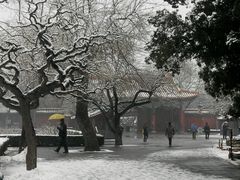 android_upload_pic-景山公园