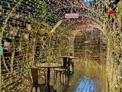 羊聪-胡桃里音乐酒馆(海雅缤纷城店)