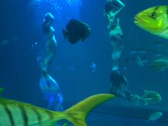 -福州罗源湾海洋世界旅游区