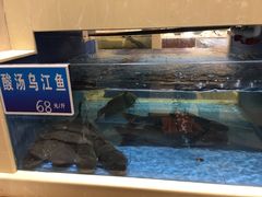 -双井轩(双井店)