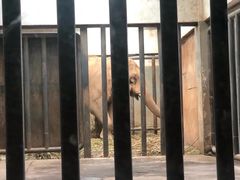 -南昌动物园