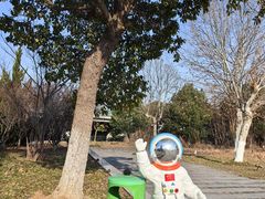 -南京航空航天大学(将军路校区)