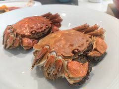 -同里湖大饭店-怡景轩中餐厅(同里古镇店)