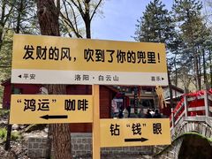 -洛阳白云山景区