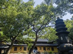 -普陀山风景名胜区-法雨禅寺