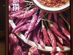 -海底捞火锅(金光华店)