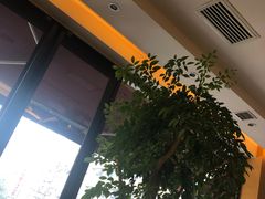 -自由之丘