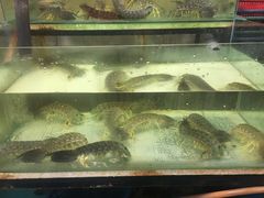 -ZF Seafood Restaurant 卓峰海鲜餐